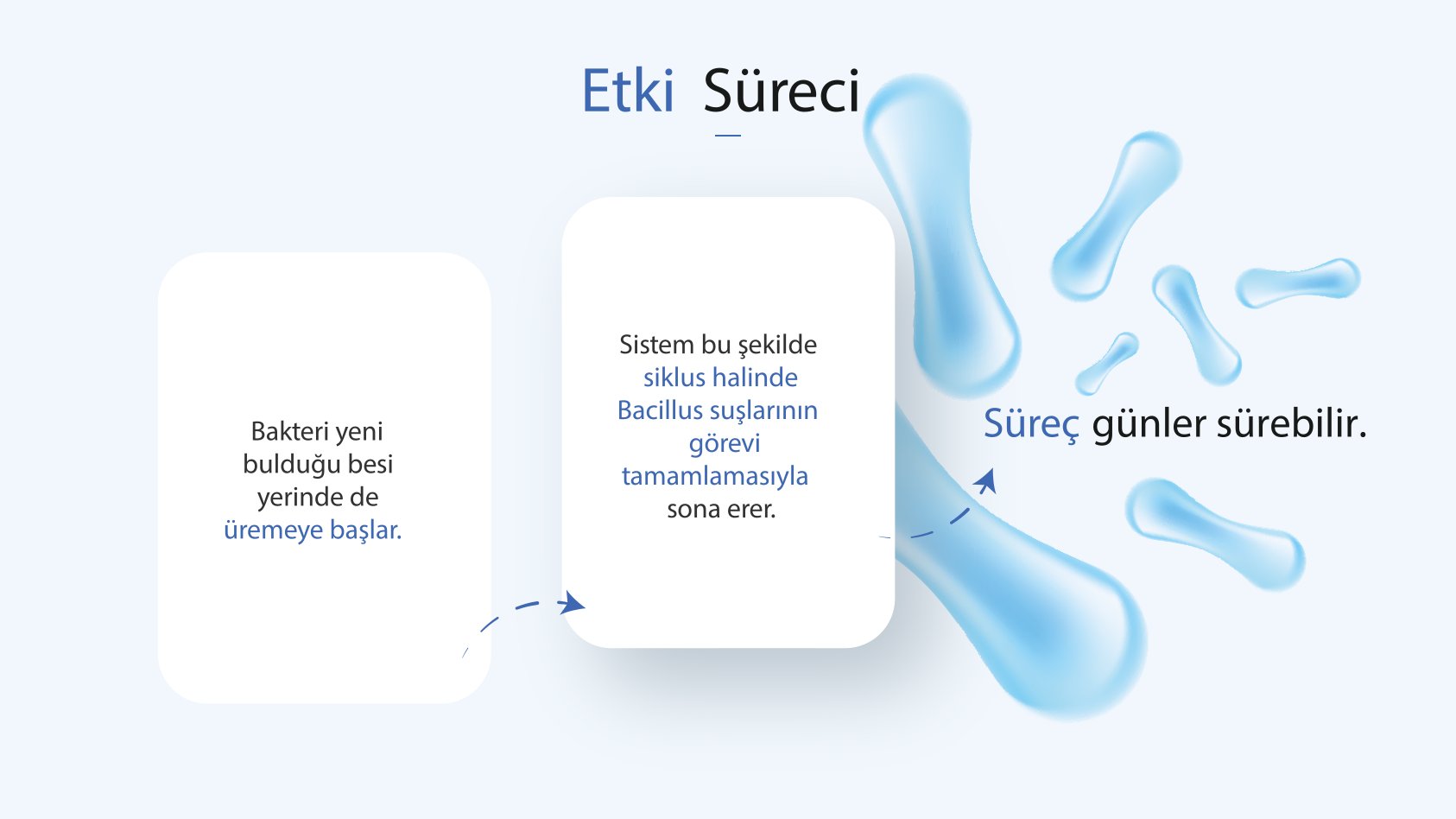 Deniz Salyası Sunumu 6